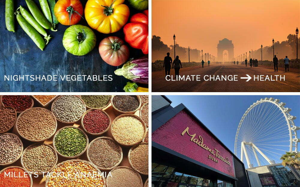 Lifestyle News#1
