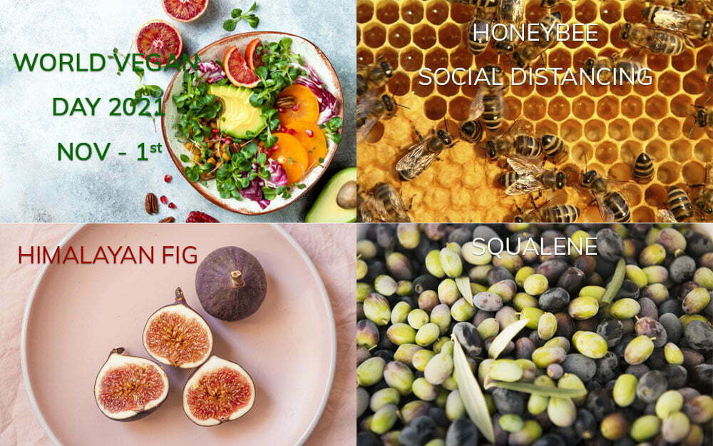 Lifestyle News #2