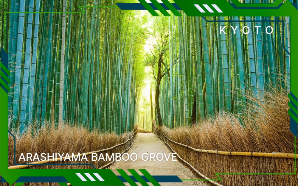 Arashiyama Bamboo Grove, located in the Arashiyama district on the western outskirts of Kyoto