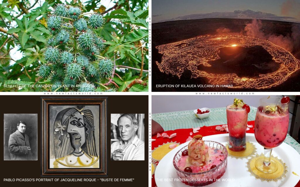 Lifestyle News #20 - Castor Oil Plant | Volcano Eruption | Picasso | India's best dessert