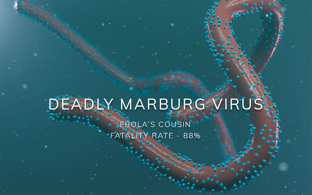 Marburg Virus
