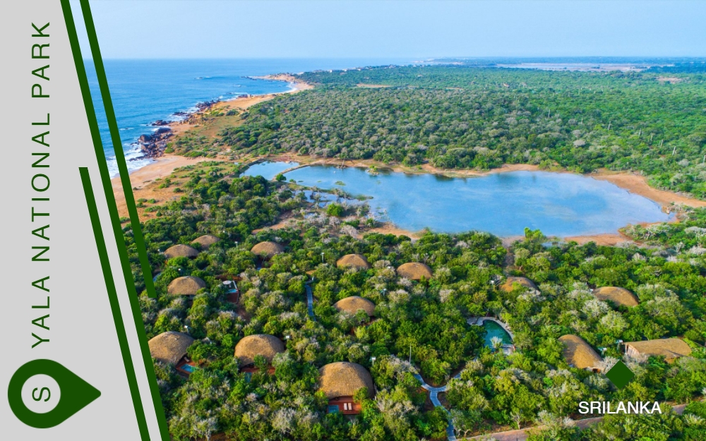 Yala National Park in the southeastern region of Sri Lanka