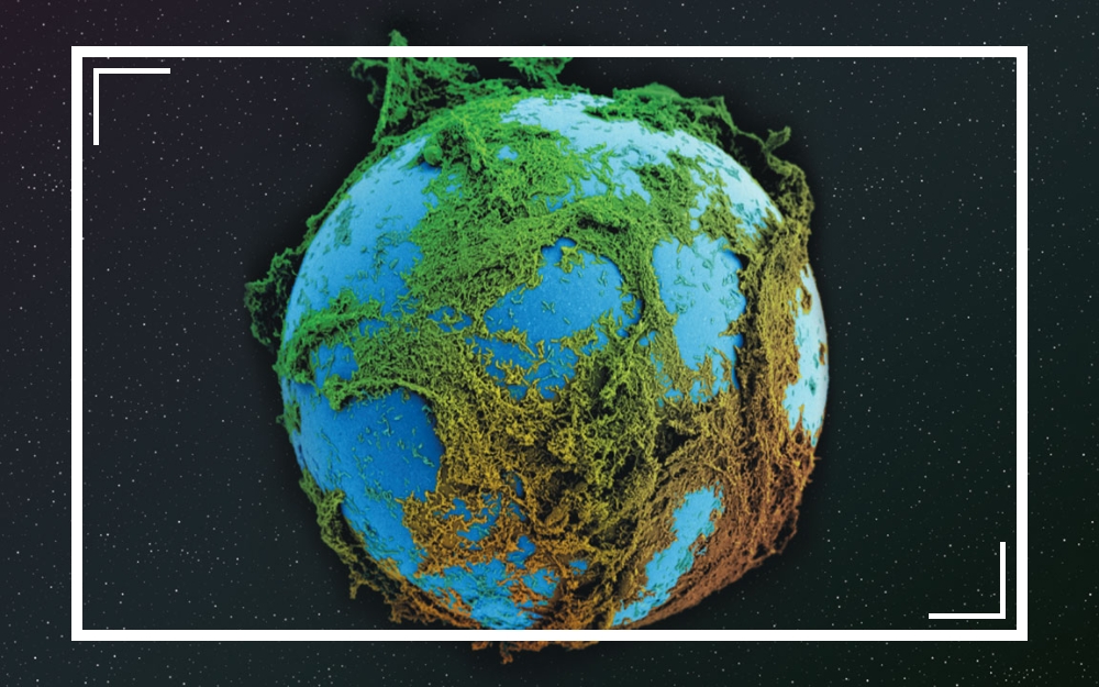Engineered Living Material